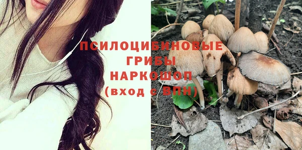 твердый Зеленодольск
