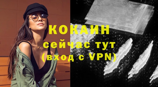 твердый Зеленодольск
