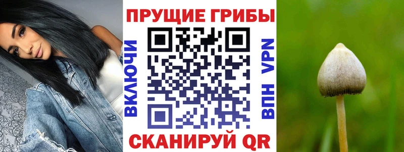 Купить закладки Сим Псилоцибиновые грибы Magic Shrooms
